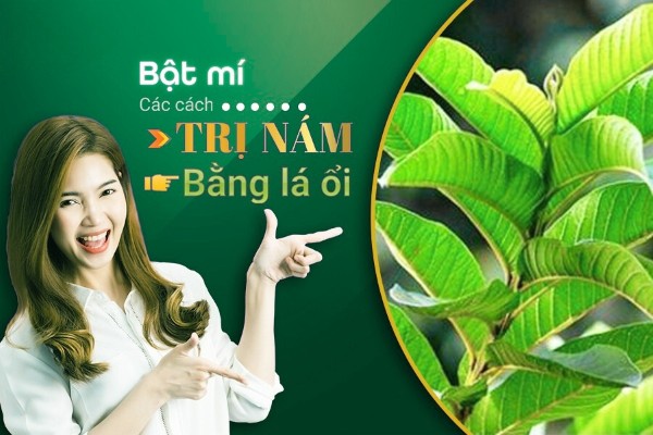 8 Cách trị nám da bằng lá ổi tại nhà đơn giản, an toàn 8 Cách trị nám da bằng lá ổi tại nhà đơn giản, an toàn