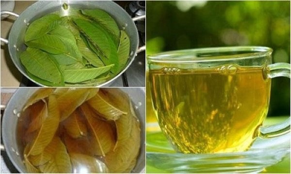 Cách nấu nước lá ổi trị nám Cách nấu nước lá ổi trị nám