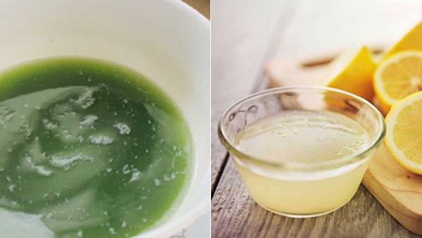 Kết hợp lá ổi và nước cốt chanh trị nám Kết hợp lá ổi và nước cốt chanh trị nám