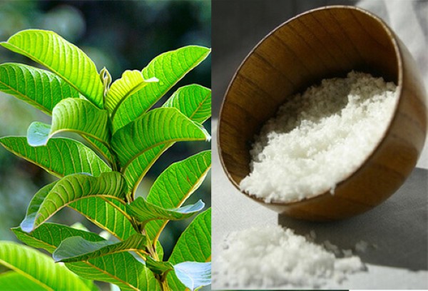 Giảm thâm nám bằng lá ổi và muối Giảm thâm nám bằng lá ổi và muối