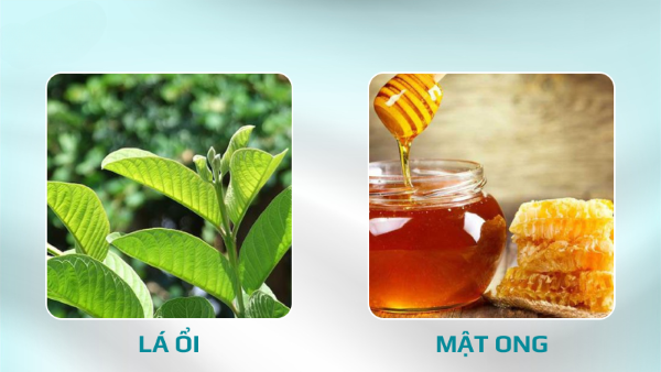 Sạch nám với công thức lá ổi và mật ong Sạch nám với công thức lá ổi và mật ong