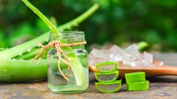 Làm trắng vùng mông bằng nha đam (lô hội)