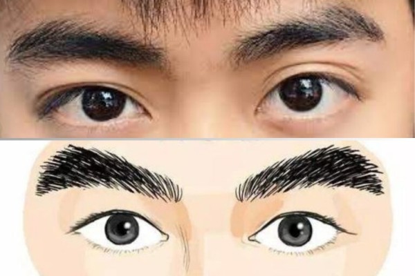 Tướng mày chổi xể – Hậu vận xấu, là người cô độc