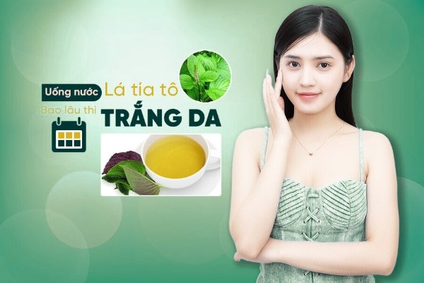 Uống nước lá tía tô bao lâu thì trắng da? Chuyên gia giải đáp