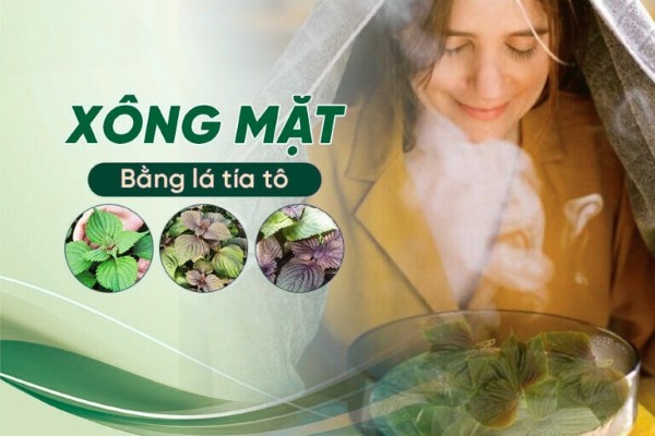 6 Cách xông mặt bằng lá tía tô giúp da sạch sâu, giảm mụn hiệu quả 