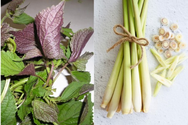 Làm sạch da, kháng viêm mạnh mẽ cùng công thức xông lá tía tô với sả