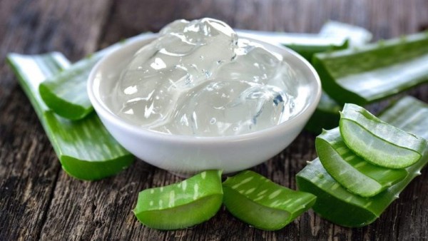 Sử dụng gel nha đam – Làm dịu và tái tạo da Sử dụng gel nha đam – Làm dịu và tái tạo da