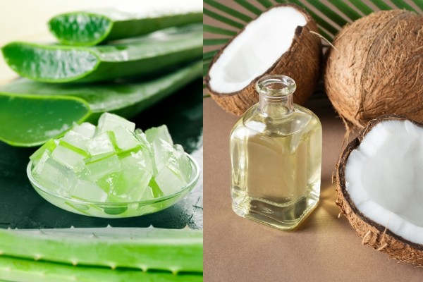 Dùng dầu dừa và nha đam giúp da trở nên mịn màng, căng bóng và giảm thiểu rãnh nhăn hiệu quả.