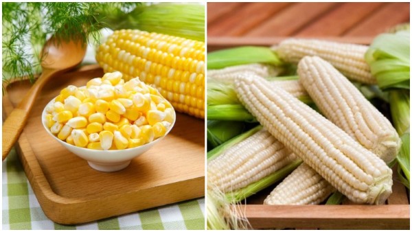 Cách lựa chọn bắp tươi ngon