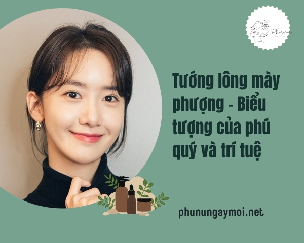 Lông mày phượng