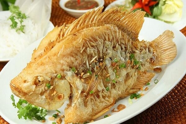 Ăn cá có tốt cho cơ thể không? Ăn cá có tốt cho cơ thể không?