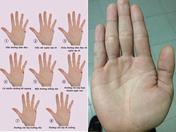 Lưu ý trước khi xem chỉ tay
