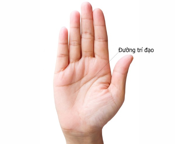 Khám phá khả năng tư duy qua đường Trí Đạo