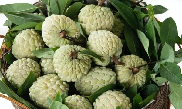 Không bỏ hạt và vỏ nếu chế biến đúng cách