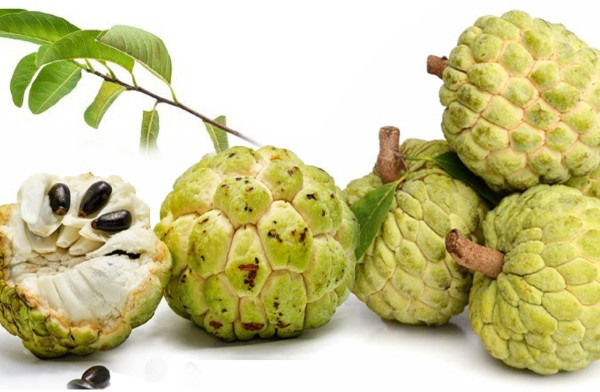 Không bỏ hạt và vỏ nếu chế biến đúng cách