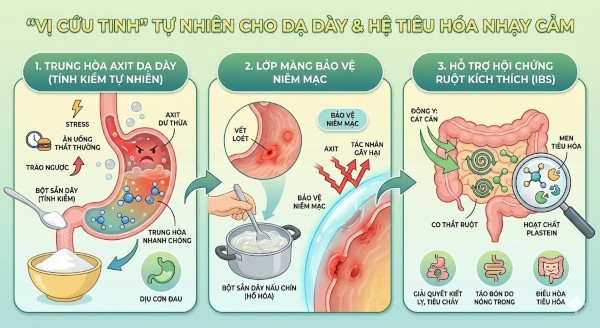 "Vị cứu tinh" cho hệ tiêu hóa và dạ dày nhạy cảm