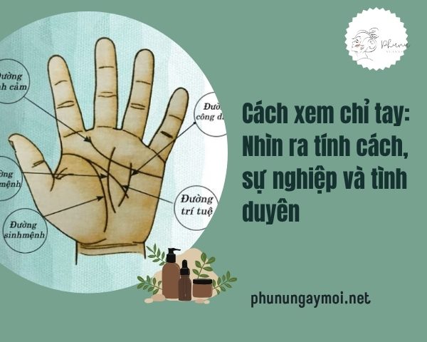 cách xem chỉ tay