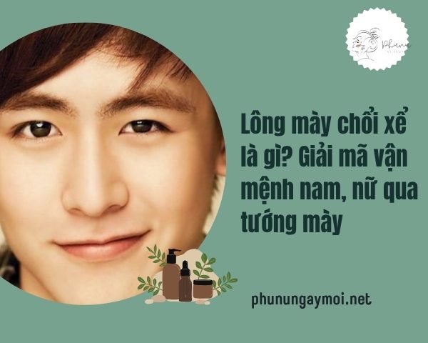 Lông mày chổi xể