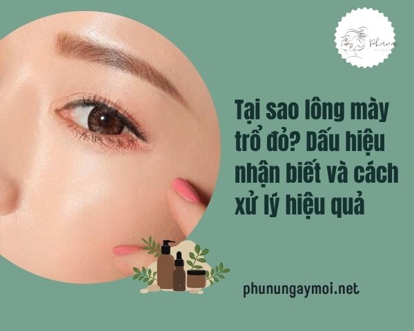 banner-long-may-tro-do