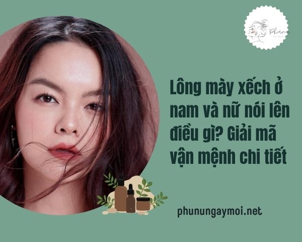 Lông Mày Xếch