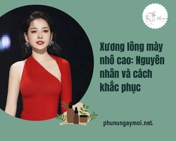 Xương lông mày nhô cao