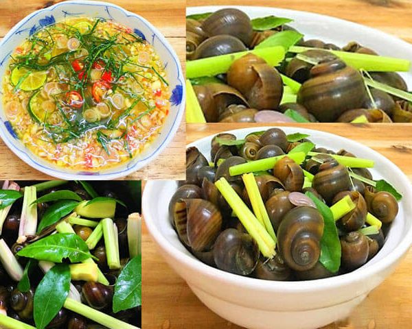 cach-lam-oc-hap-sa-4