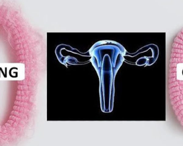 coc-nguyet-san-co-lam-rong-co-be-1