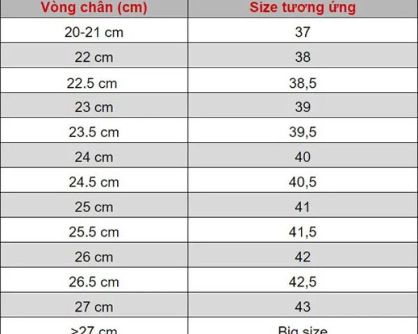 size-giay-converse 3