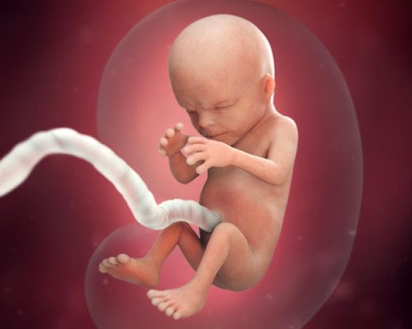 thai-13-tuan-biet-trai-hay-gai-chưa-1